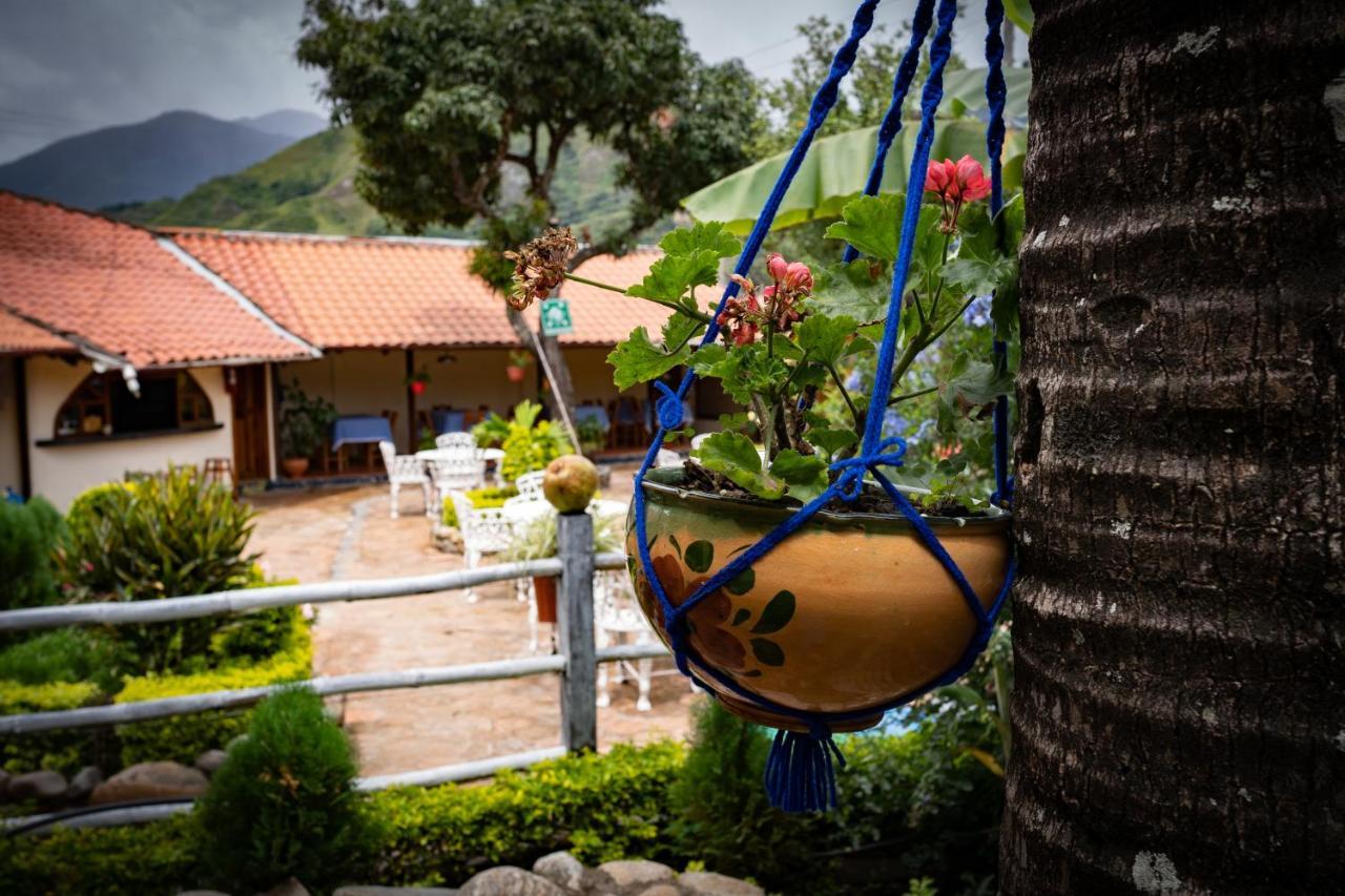Hostal Jardin Escondido Vilcabamba Exterior photo